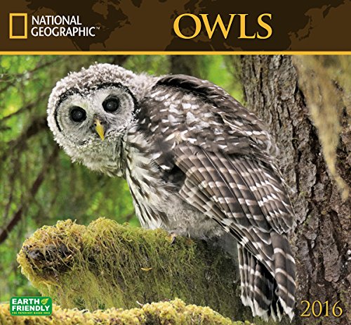 Owls National Geographic 2016 Wall Calendar