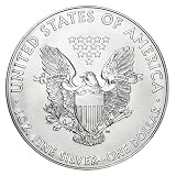 2015年製造 アメリカンイーグル銀貨1オンス(41mmクリアーケース付き)