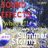 William Verkler - Summer Storms Whoa Se009 ( Audio CD ) - B002FOG2TC