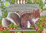 Gray Squirrel at Pacific Avenue - a Smithsonian's Backyard Book (with audiobook cassette tape) (Smithsonian's Backyard/Boxed Book and Cassette)