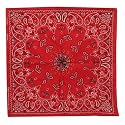 Red New Paisley Bandanas