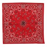 Red New Paisley Bandanas W12S21D