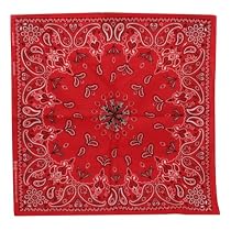 Red New Paisley Bandanas
