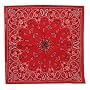 Red New Paisley Bandanas