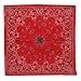 Red New Paisley Bandanas