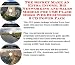 Book The Secret Make An Extra Income, Biz Networking and Sales Models for USB Flash Disks Web Businesses 3 CD Power Pack