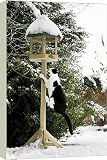 Canvas Prints of Cat - black a white cat climbing up a bird feeding table in snow from Ardea Wildlife Pets
