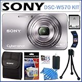 Sony Cyber-Shot DSC-W570 16.1 MP Digital Camera with 5x Wide-Angle Optical  ....