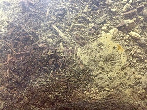 Plant Compost Tea (100% Organic, No Biosolids) Made in USA