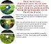 Book The Special Promotion, Success Principles and Inner Game for Flashlights Web Businesses 3 CD Power Pack