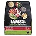 IAMS Healthy Naturals Adult With Lamb and Rice Recipe Dry Dog Food 12.5 Pounds