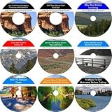 The Advanced No Money Down, Flexible Seller, Self Paced Real Estate Mentoring System on 9 CDs