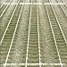 Reich: Different Trains, Electric Counterpoint / Kronos Quartet, Pat Metheny