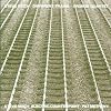 Different Trains / Electric Counterpoint