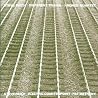 Bild des Albums von Steve Reich