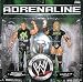 TRIPLE H & SHAWN MICHAELS DX - ADRENALINE 24 2-PACK WWE TOY WRESTLING ACTION FIGURES
