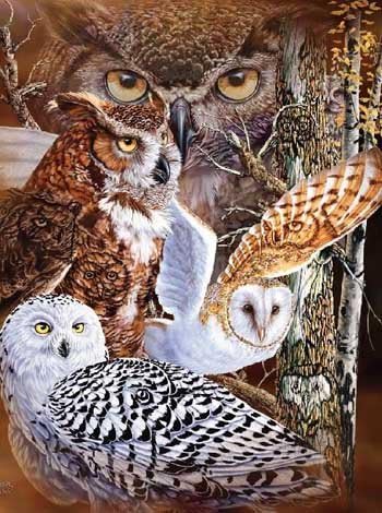 Royal Plush Extra Heavy Queen Size Mink Blanket - Intense Owls (79" x 85")