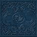 Ryan Adams �Cold Roses�