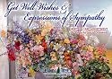 Get Well Wishes & Expressions of Sympathy Greeting Card Assortment [AST90663]