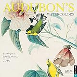 Audubon's Watercolors 2016 Wall Calendar: The Original Birds of America