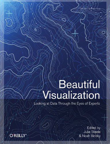 Beautiful Visualization
