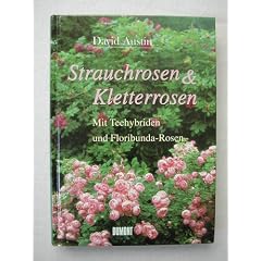 Strauchrosen und Kletterrosen. Mit Teehybriden und Floribunda- Rosen