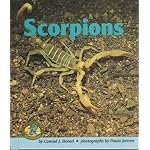 Scorpions (Early Bird Nature Books) book cover