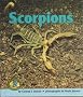 Scorpions (Early Bird Nature)