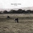 The Lonely Wild