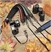  : OP/TECH 10012 Classic Camera or Binocular Strap - Black with 3/8 Web connectors