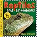 Reptiles and Amphibians (Smart Kids Sticker Books)