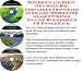 The Down and Dirty Get More Biz, Godfather Principles and Sales Models for Glass Etchings On-line Businesses 3 CD Power Pack by Montezuma A. Johnson