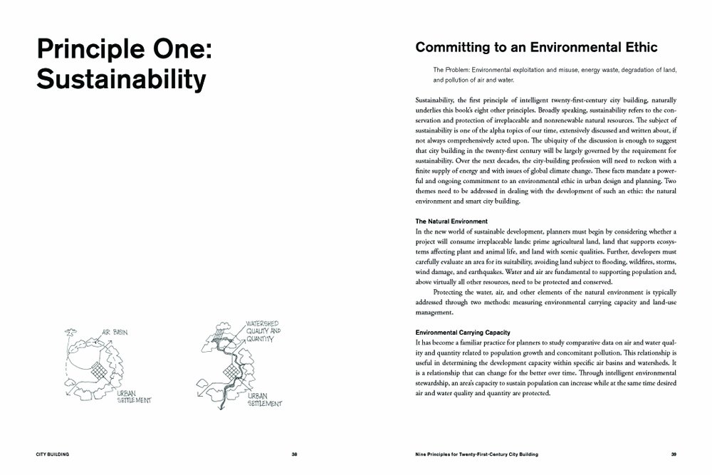 City Building: Nine Planning Principles for the 21st Century: John ...