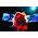 Thumbnail image of Bj�rk