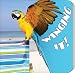 Winging It! (Rourke Board Books)