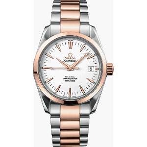 Omega Seamaster Aqua Terra Men's Watch 2304.30