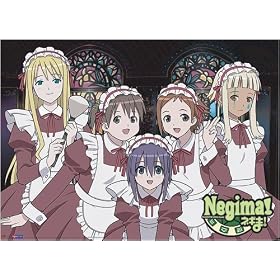 Negima Wallscroll #9721