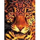 Click here to buy Essentials of Ecology (with CD-ROM and InfoTrac) by  G. Tyler Miller.