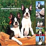 365 Days of Boston Terriers 2007 Wall Calendar