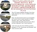 Book The Fantastic Earn More Money, Biz Networking and Sales Models for Alphabet Flash Cards Internet Businesses 3 CD Power Pack