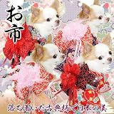 【9月下旬からの順次発送】艶やか晴れ着2011★お市【お正月・初詣・年賀状・着物】紫紺（パープル）SD