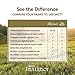 Instinct Raw Boost Grain Free Chicken Meal Natural Dry Cat Food By Nature'S Variety, 11.3 Lb. Bag