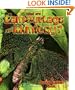 What are Camouflage and Mimicry? (The Science of Living Things)
