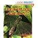 What are Camouflage and Mimicry? (The Science of Living Things)
