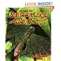 What are Camouflage and Mimicry? (The Science of Living Things)