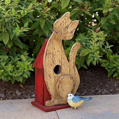 Your Hearts Delight Mischievous Cat Birdhouse, 5 by 13-1/2 by 4-Inch