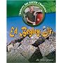 Ed Begley, Jr.: Living Green (Voices for Green Choices)