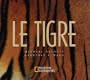 Le Tigre