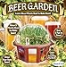 Dunecraft Beer Garden Domed Terrarium