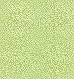 Brewster NG62506 National Geographic Kids Bambam Green Animal Print Wallpaper [並行輸入品]